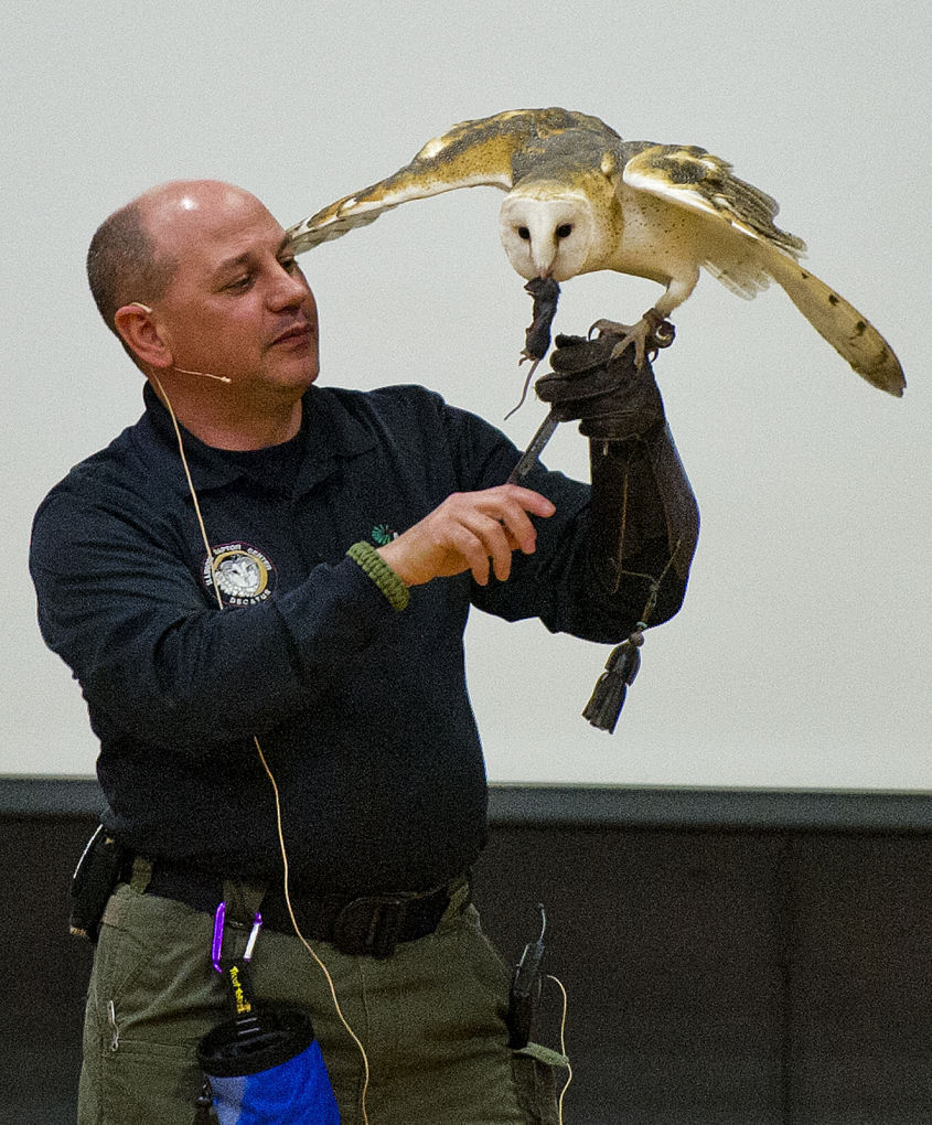 030715-wn-nws-owl-festival-14.jpg